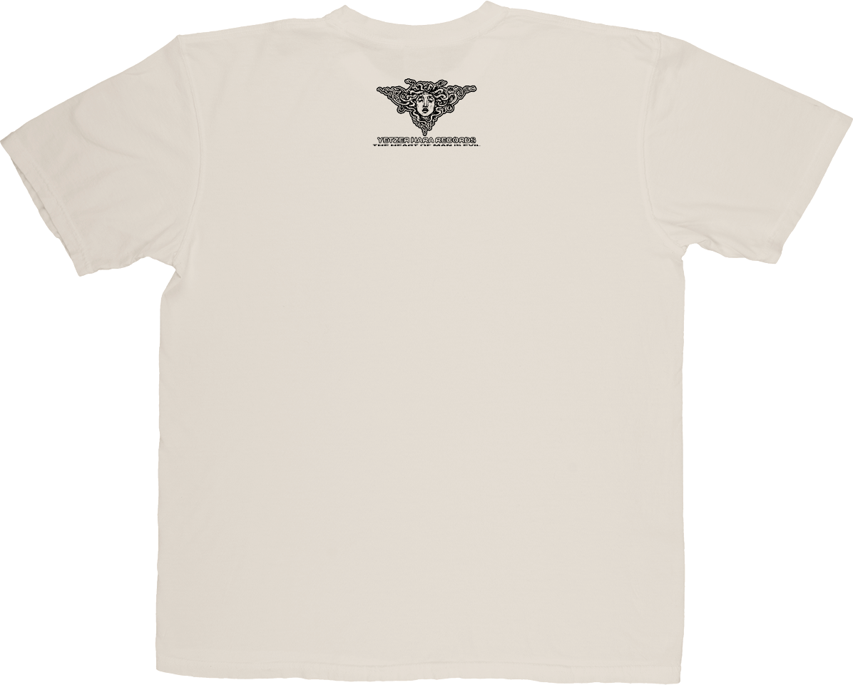 DENOUEMENT SHIRTS