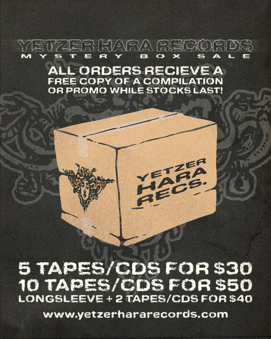 MYSTERY BOX SHIRT + 2 TAPES/CDs for $40